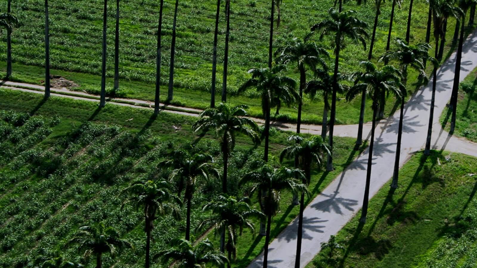 Hacienda Santa Teresa